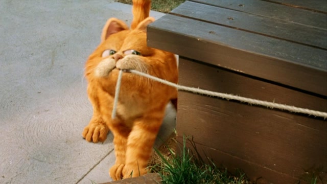 电影种草指南短视频大赛# 加菲猫:这个肥猫也太聪明了,为了喝到牛奶