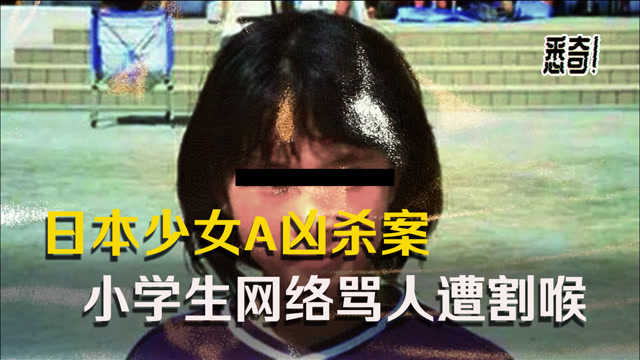 不堪忍受网络暴力,日本少女a凶杀案