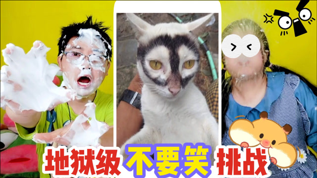 不要笑挑战,输了满脸涂奶油!这视频太傻了,谁笑到失控喷口水?