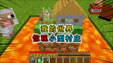 我的世界：玩家发现一个小型村庄，在主世界用镐子挖到了下界？