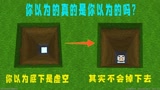 迷你世界：你以为我会掉进虚空，其实下面有巨人核心，你看到的不一定是真的