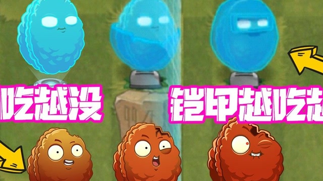 植物大战僵尸五阶全息坚果吃着血条变厚别的坚果越吃越没植物大战僵尸