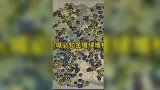 永劫无间资源刷新点之天人城必知金堆绿堆位置。