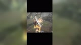 永劫无间 真就沉迷蹦迪呗