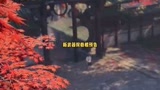 新武器：双节棍！快使用双节棍呼呼哈嘿！#永劫无间新武器