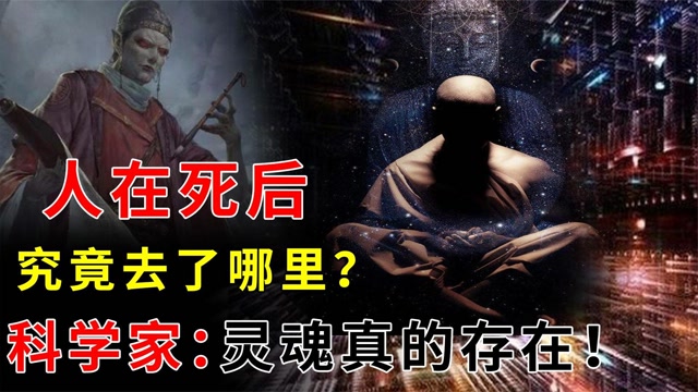 人有灵魂嘛(人肯定有灵魂)
