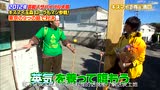 12 12 いきなり 黄金伝説 玉森裕太cut 腾讯视频 12 12 いきなり 黄金伝説 玉森裕太cut 腾讯视频