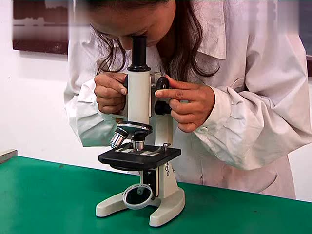 5-3用显微镜观察 各种 永久装片