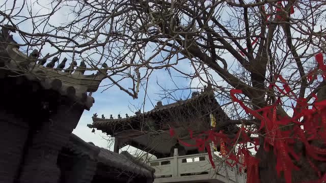 辽阳永宁寺采风