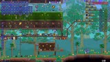 泰拉瑞亚 terraria 汉化版MOD 45等等我，不要走