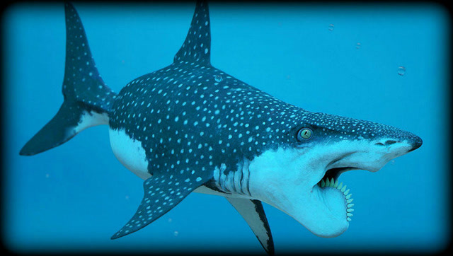 十大恐怖鲨鱼图片物种图片
