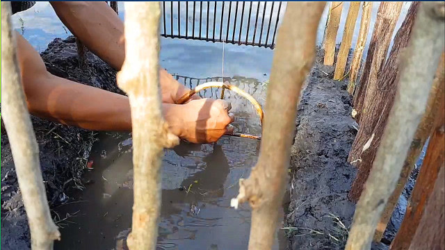 这家伙的抓鱼陷阱技能蓝翔技校毕业的吧,这鱼都无法钻出去