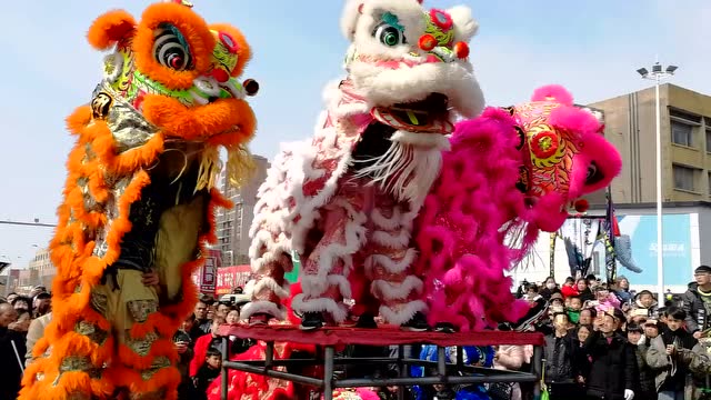 滑县道口古庙会上的精彩舞狮表演