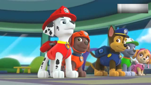 小力向汪汪队求助帮助猫咪,毛毛和阿奇出动救猫咪!