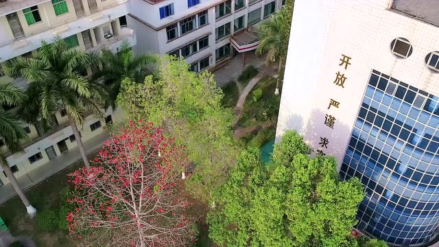 航拍河源開放大學