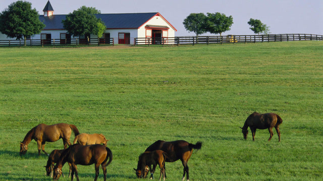 中国农村对比美国农场!告诉你土豪是怎么来的!农民直呼伤不起