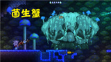 天铭 泰拉瑞亚 仙人掌MOD 29 蘑菇森林领主！terraria