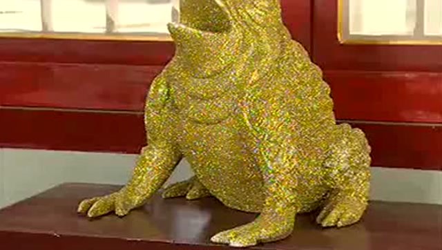 金蟾被玉帝惩罚变成一个金蛤蟆,千年后,终于恢复真身