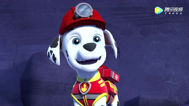 《汪汪队立大功2》莱德让毛毛检查杰克的腿伤势如何