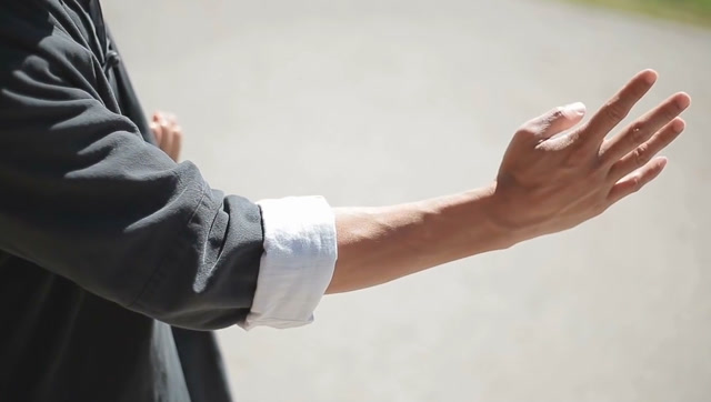 国际咏春拳大师展示"顶级黐手",掌法刚劲有力无人能敌