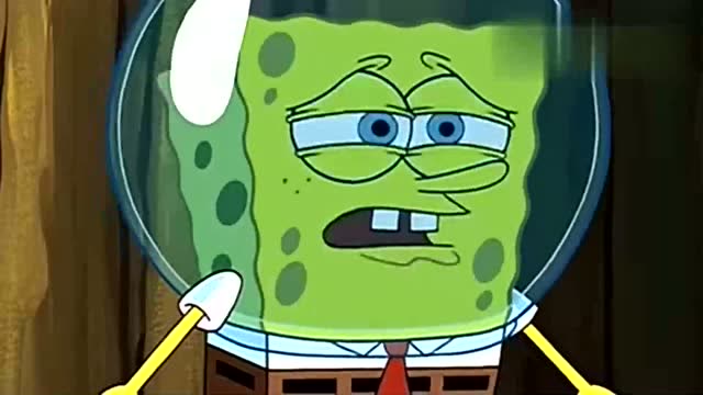 一夜之间小青虫变成了蝴蝶,海绵宝宝惊呆了