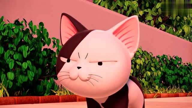 甜甜私房猫 第三季 这就是朋友呀!被猫咪的友谊感动到了