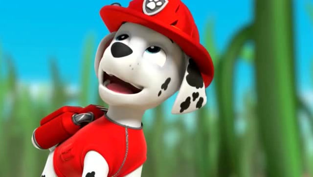 汪汪队立大功:阿奇用无人机寻找很小的毛毛,毛毛却跳到无人机上面