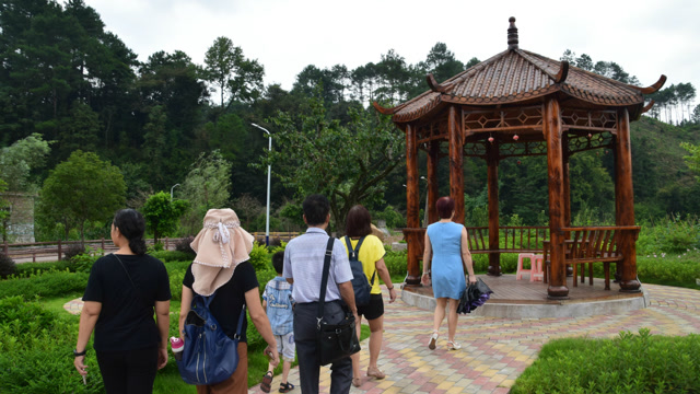 阳山杨梅镇旅游图片