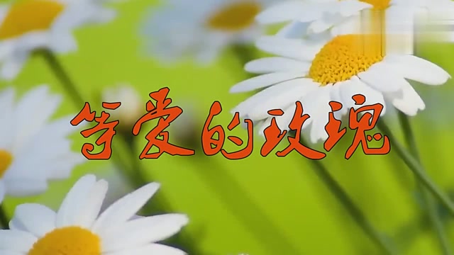 凤凰传奇的《等爱的玫瑰》,10人听了10人设置成铃声