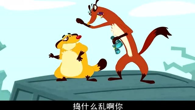 瘦高高和胖乎乎看到了这么肥的鸡,真是太高兴了