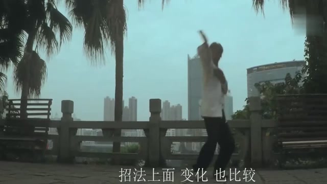 宗师再也忍不住了,演绎出中华神秘功夫猴拳,身法真是灵活多变!