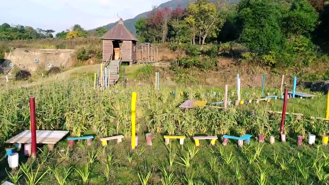 宁波象山田乐园