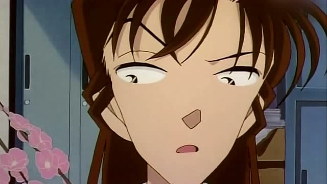 柯南送花给小兰,小兰却很生气,原因竟然是因为花的花语