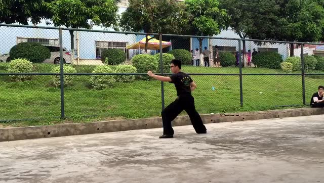 武术协会 长拳一路 演示