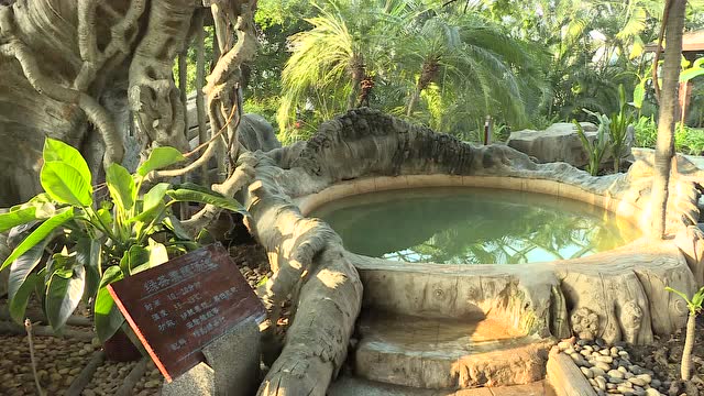 沧州盛泰温泉送票