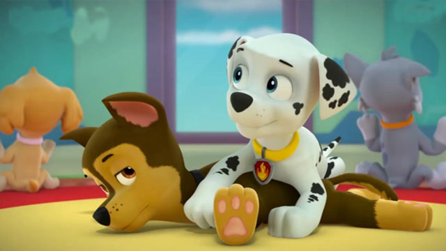 狗狗巡逻队 毛毛和阿奇在汪汪队做俯卧撑 汪汪队立大功