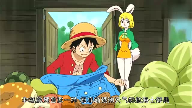 海贼王:仰慕草帽一伙,加洛特想跟随路飞