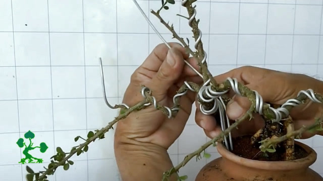 简单的方法教你制作盆景造型几根铝线就可以看到成品我服了