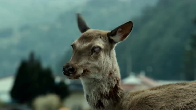 釜山行:撞死的鹿没想到忽然活了,或者说变异?