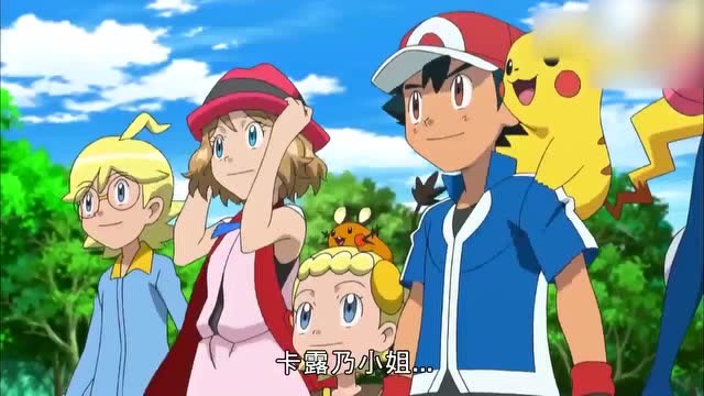 神奇宝贝冠军,卡露乃千里迢迢找小智,武藏气不过:我才是万人迷
