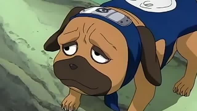 火影忍者帕克真是能把人笑死了,居然和小樱同款洗发水