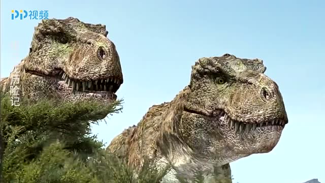 特暴龙开始捕猎,正当他们得意称王时,霸王龙盯上了他们