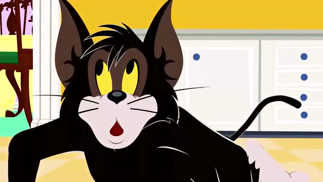 新猫和老鼠:主人把布奇当成汤姆了,洗完才知道洗错了