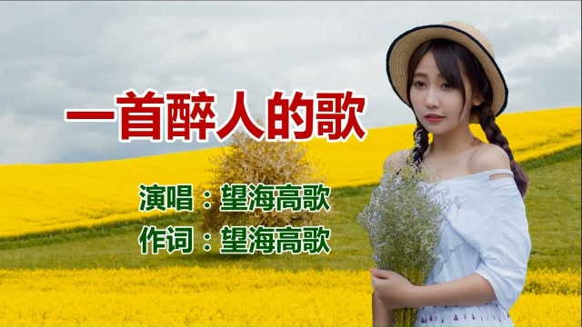 望海高歌《一首醉人的歌》超高清画质