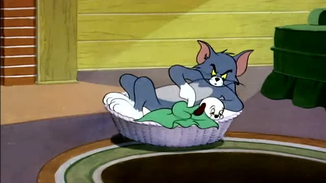 猫和老鼠:小狗抢走汤姆的被子,汤姆被冻的打喷嚏