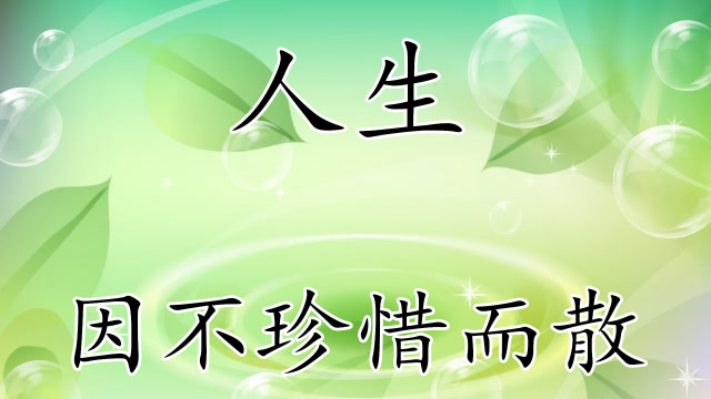 人生,因不珍惜而散,懂你的人,不必解释