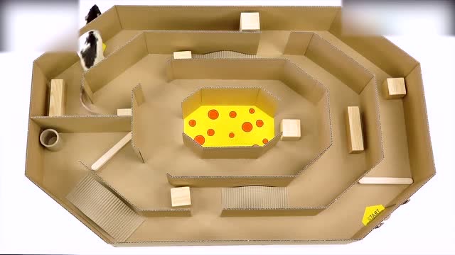 用纸板为二只仓鼠制作8角形迷宫,迷宫不复杂,它们走得出吗