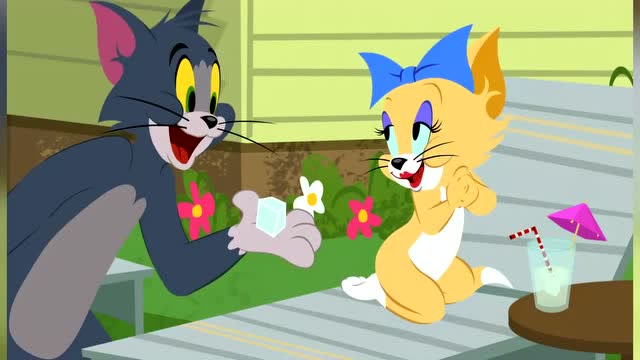 新猫和老鼠:汤姆和布奇都想向小黄猫献殷勤,为冰块打起来