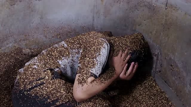 姐夫去偷小舅子的酿酒秘方,谁知却险些被活埋,过程太精彩了