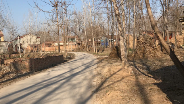 实拍河南商丘农村老家景象村庄现在一片荒凉令人心酸